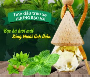 Những Lưu ý khi chọn tinh dầu treo xe ô tô