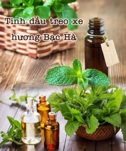 Tinh dầu treo xe bạc hà có tác dụng gì