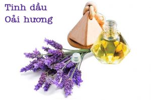 Tinh dầu hoa oải hương treo xe ô tô