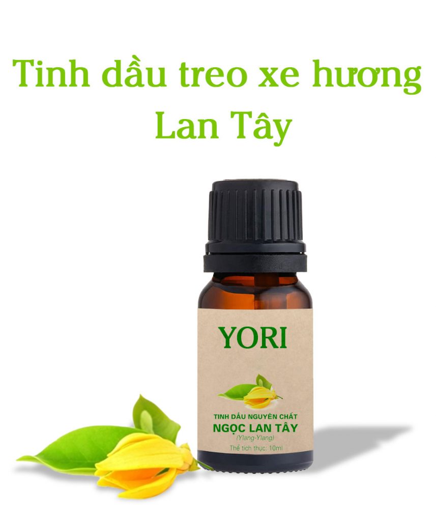 Tinh dầu Lan Tây Yori nguyên chất 100%