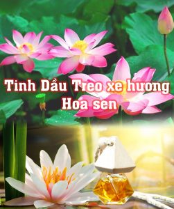 Mua tinh dầu treo xe hương hoa sen ở đâu