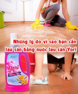 Những lý do vì sao bạn cần lau sàn bằng nước lau sàn Yori