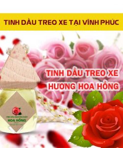 Nơi bán tinh dầu xe hơi chất lượng quốc tế tại Vĩnh Phúc