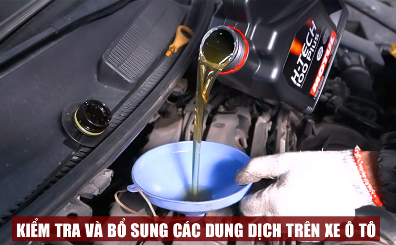 Các bước chuẩn bị cho xe ô tô khi sắp có bão